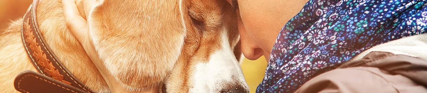 Mujer abraza y apoya su frente sobre la cabeza de su perro