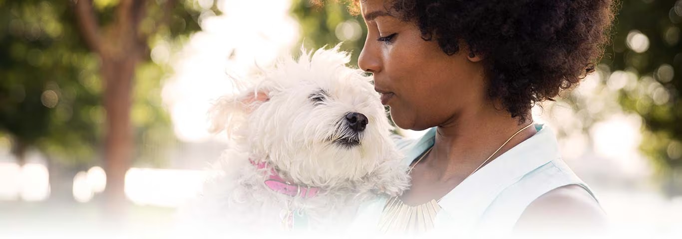 Fotografía de un perro West Highland White Terrier