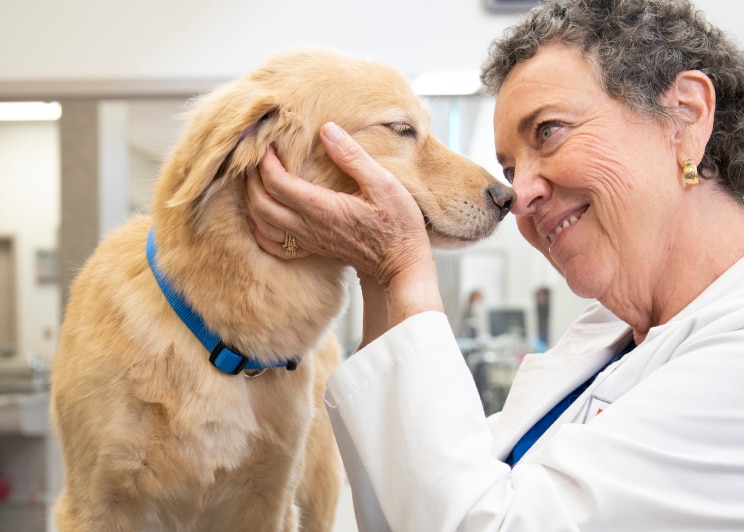 una veterinaria sosteniendo un perro