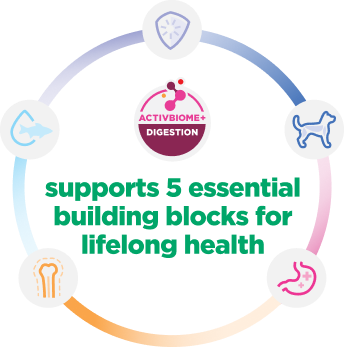 La infografía explica 5 componentes esenciales para la salud de los gatitos