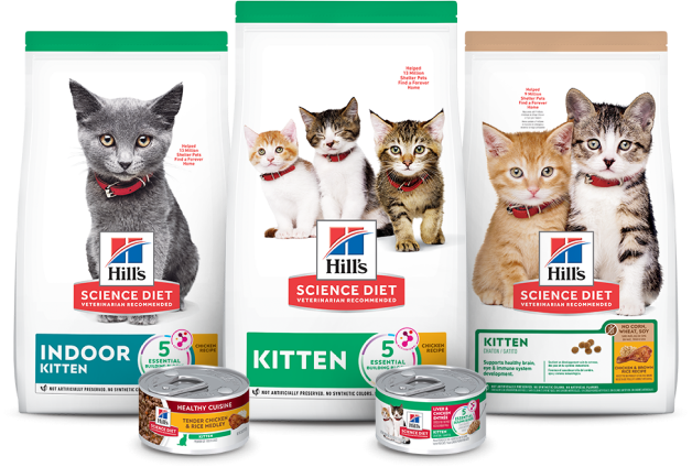 Hill's Science Diet Alimento Seco para Gatitos Bolsas