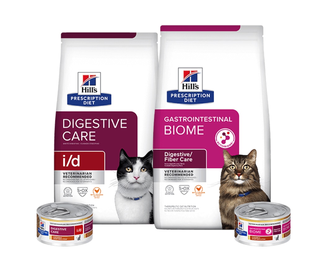 Prescription Diet Digestive care comida para gatos