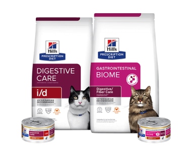 Prescription Diet Digestive care comida para gatos