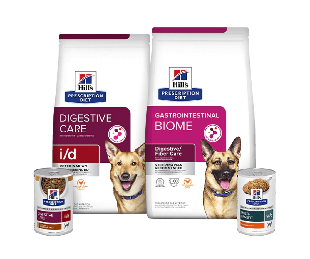 Prescription Diet Digestive care para perros