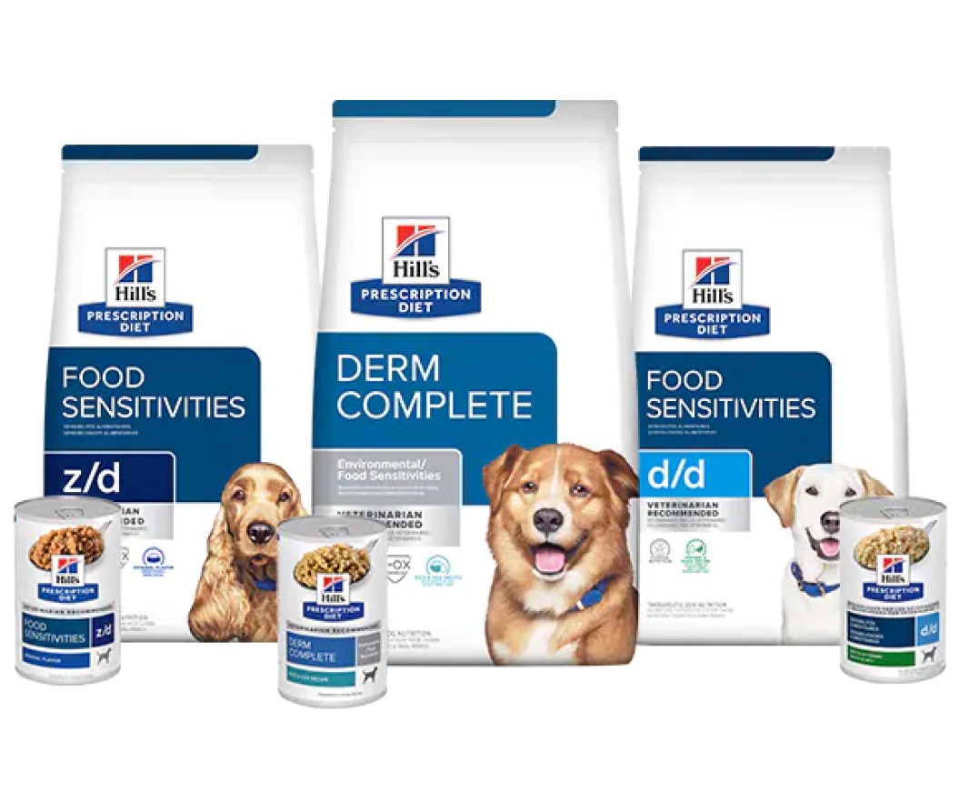 Prescription Diet Digestive care para perros