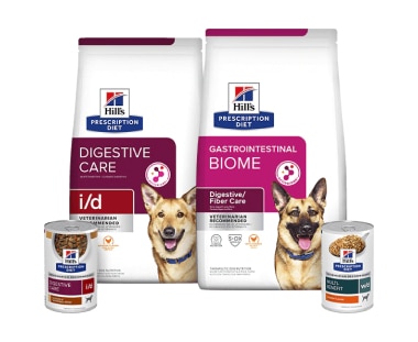 Prescription Diet Digestive care para perros