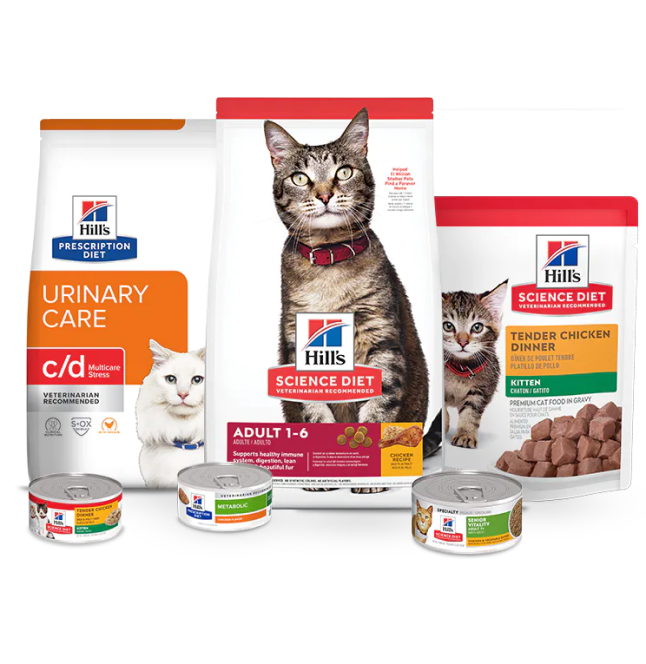 paquetes de comida Hill's Pet Science Diet