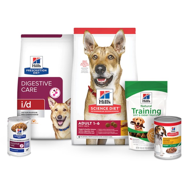 Paquetes de comida Hill's Pet Science Diet