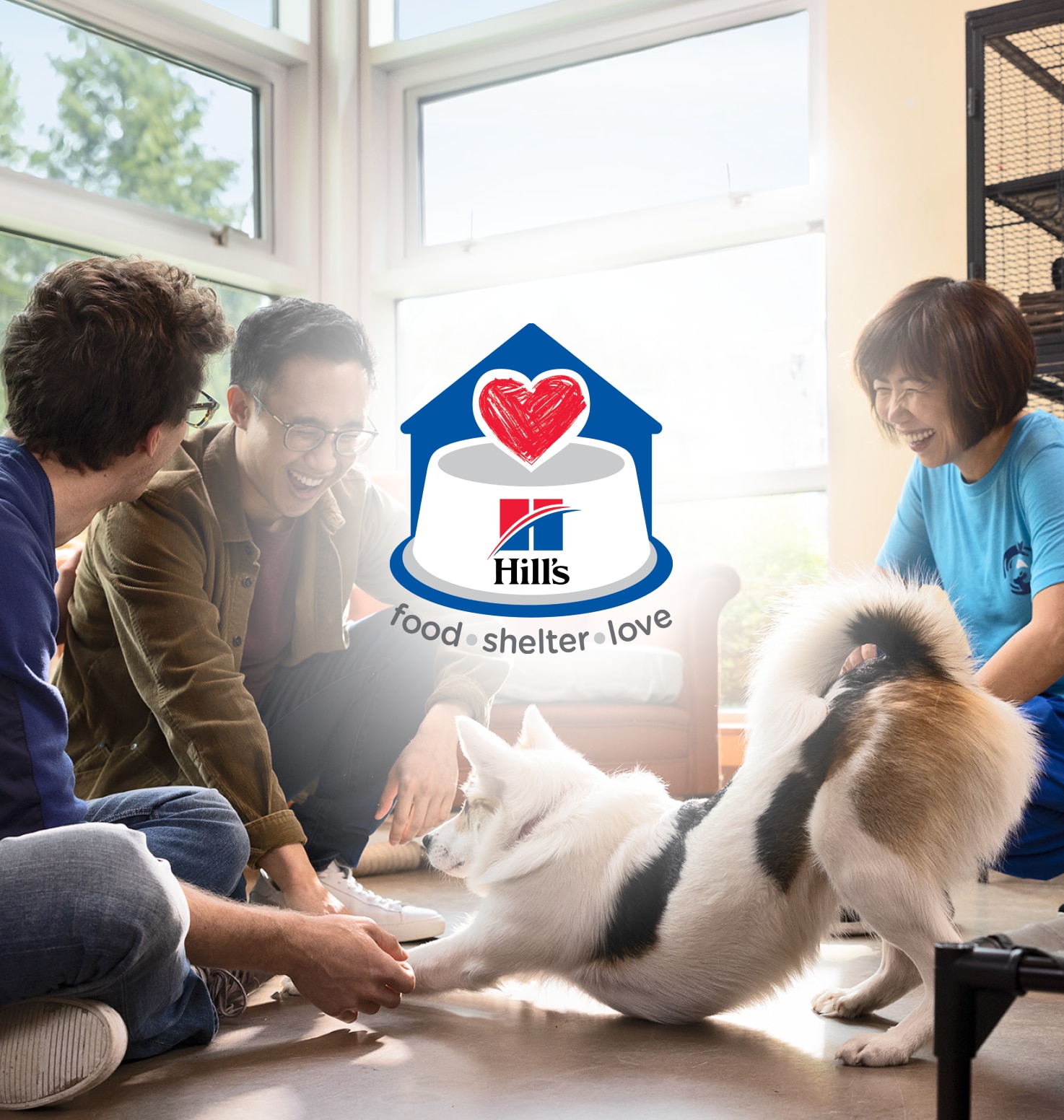 Girl playing with a kitty