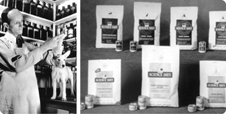 Dr. Mark Morris Jr. working with a pet