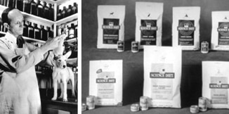 Dr. Mark Morris Jr. working with a pet